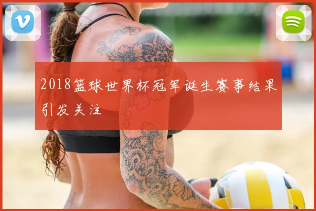 2018篮球世界杯冠军诞生赛事结果引发关注