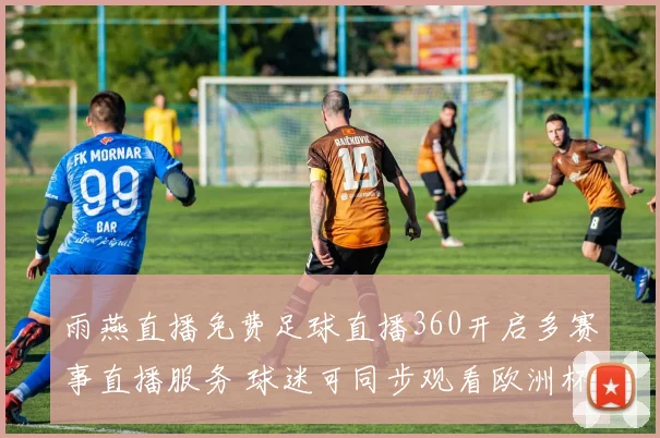 雨燕直播免费足球直播360开启多赛事直播服务 球迷可同步观看欧洲杯与联赛直播